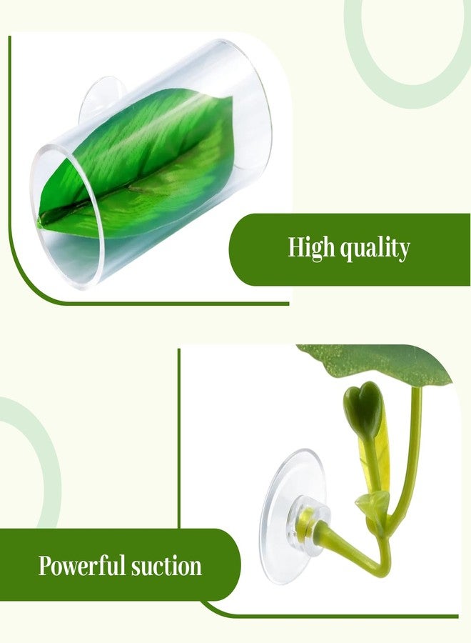 CZFSWT 4PCS Betta Hammock Set, Betta Tank Accessories, Fish Hammock Suitable for Fish Farmers, Aquarium Enthusiasts and First-Time Breeders - Image 3